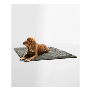 Barbour - Kapitone köpek battaniyesi | Zeytin