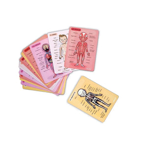 Janod - Magnetic Anatomy Puzzle