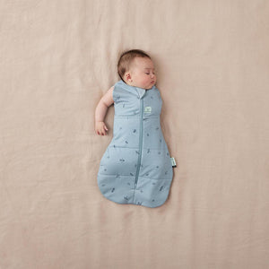 ergoPouch Organic Winter Cocoon Swaddle Sleeping Bag - 2.5 TOG - Dragonfly-Sleepsack Swaddles-Dragonfly-0-3m | Natural Baby Shower