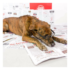 The Furry Folks - Multicolored Newspaper Print Rattle Toy