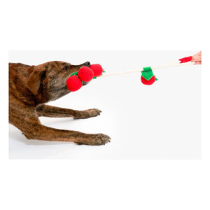 The Furry Folks - Cherry Tomato Chew Toy | Tomato Red