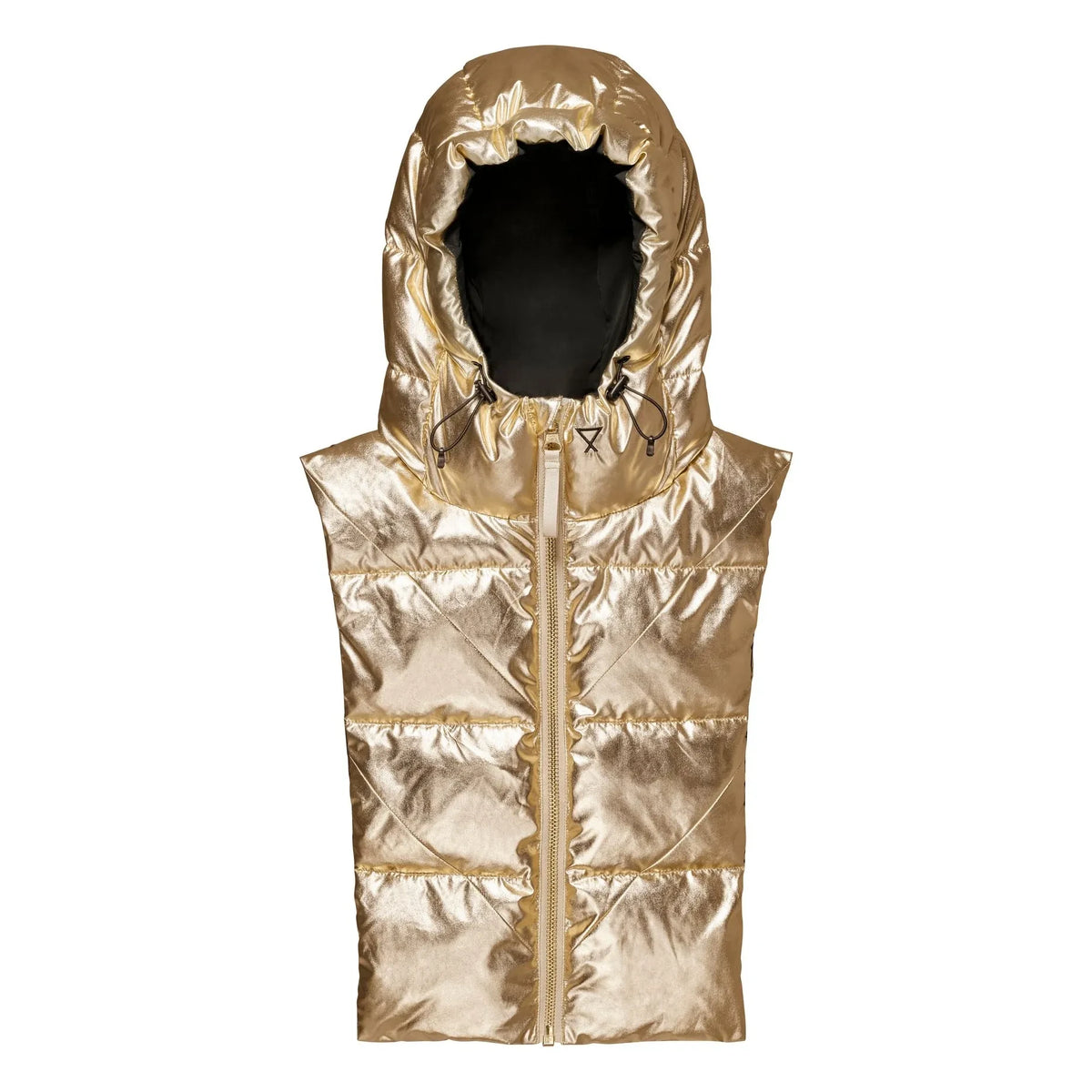 Fudoon - Metallic Reversible Doudoune Hooded Sweatshirt | Gold