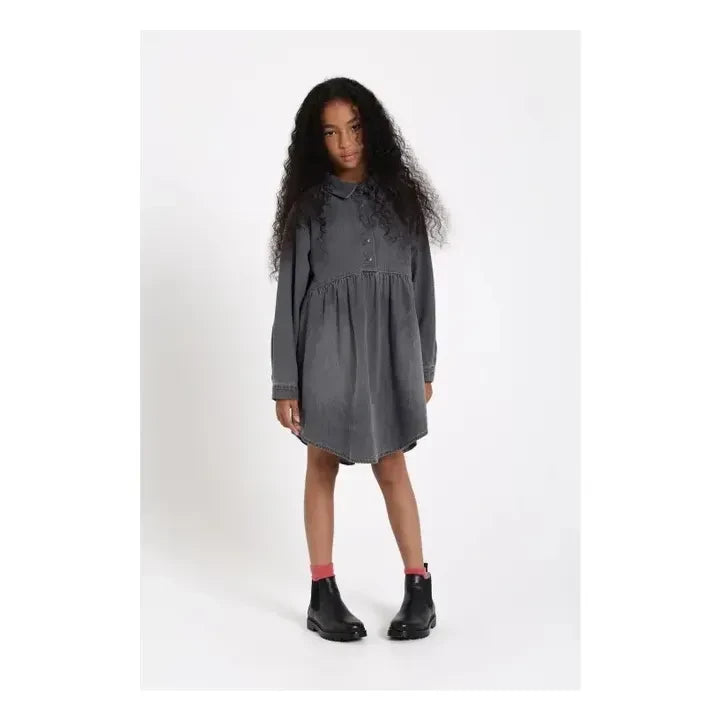 Finger in the Nose - Darlin Denim Dress | Gray Denim