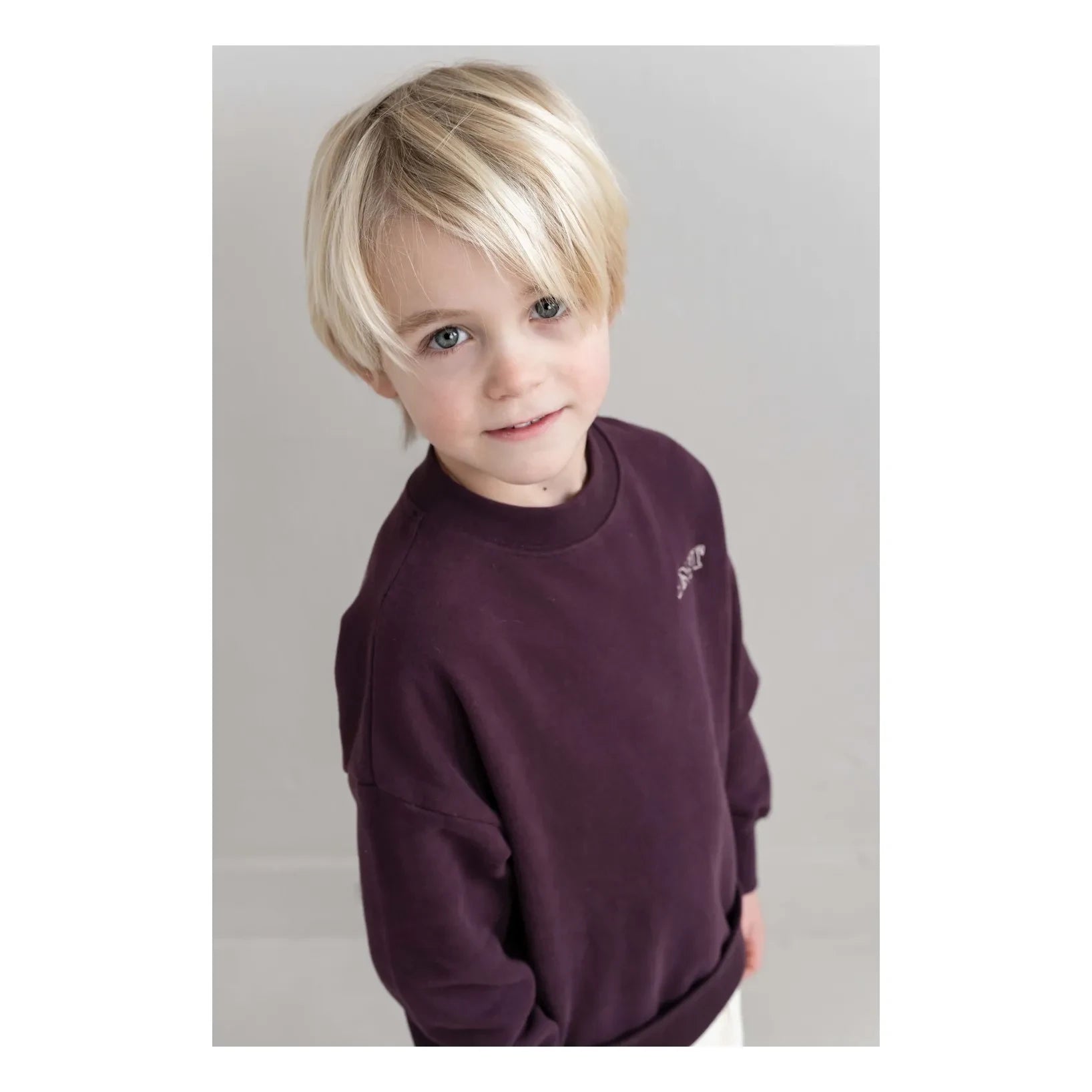 Jenest - JNST organik pamuk sweatshirt | Bordo