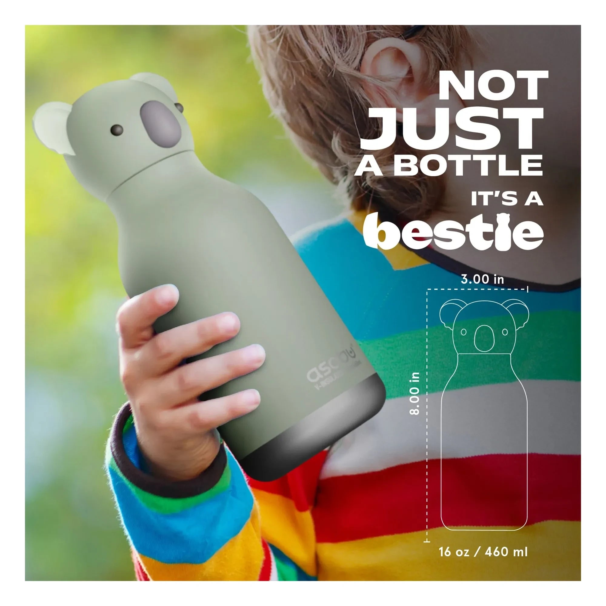 Asobu - Koala Stainless Steel Water Bottle | Gray