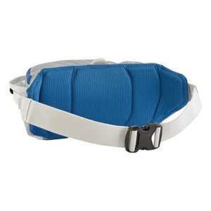 Patagonia - Black Hole Fanny Pack 5L Banana Bag | Light gray