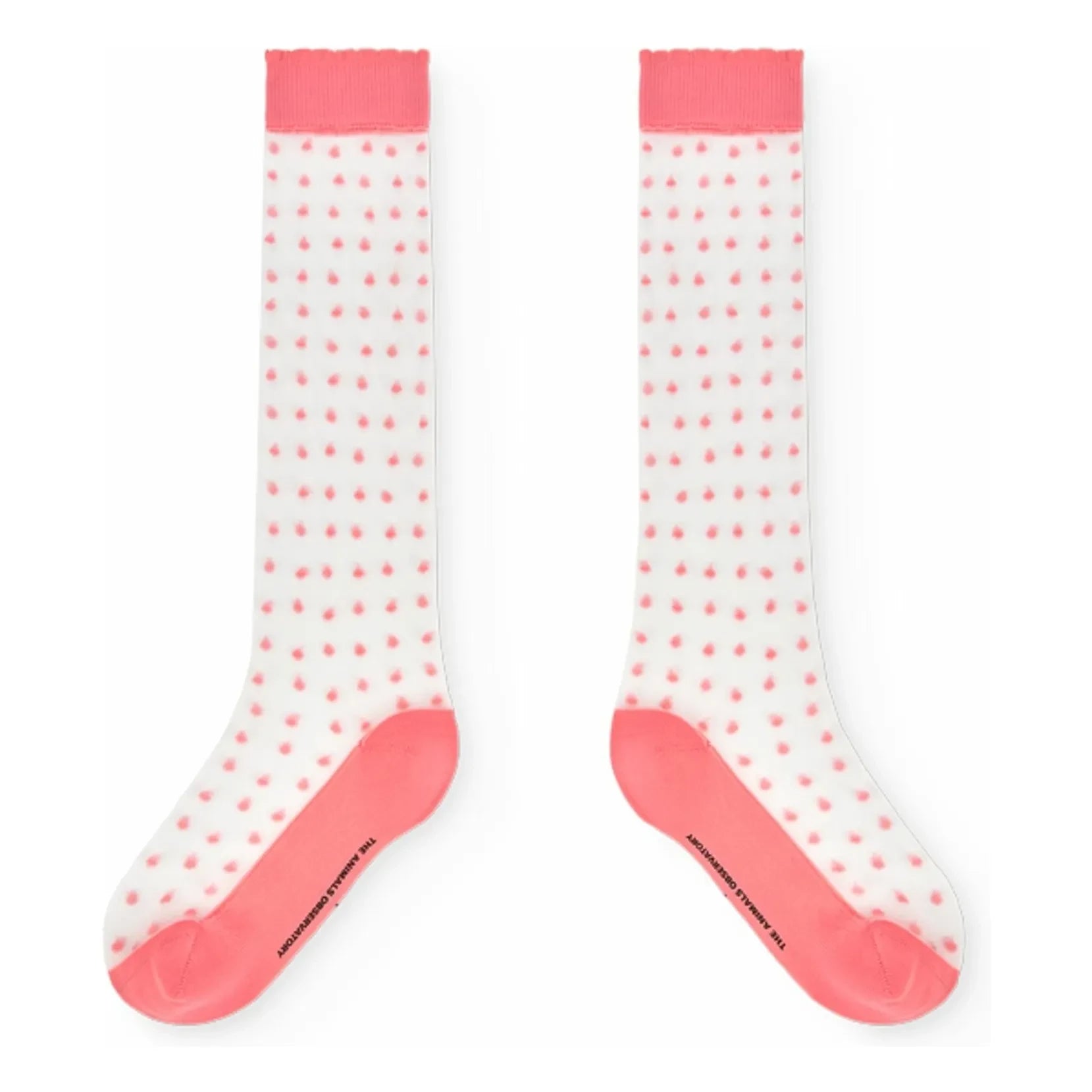 The Animals Observatory - Hen çorap | Pembe