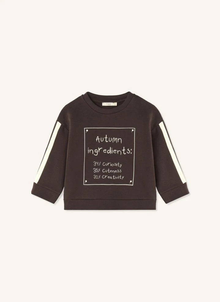 Fliink - Alvin Autumn Organic Cotton Sweatshirt | Brown