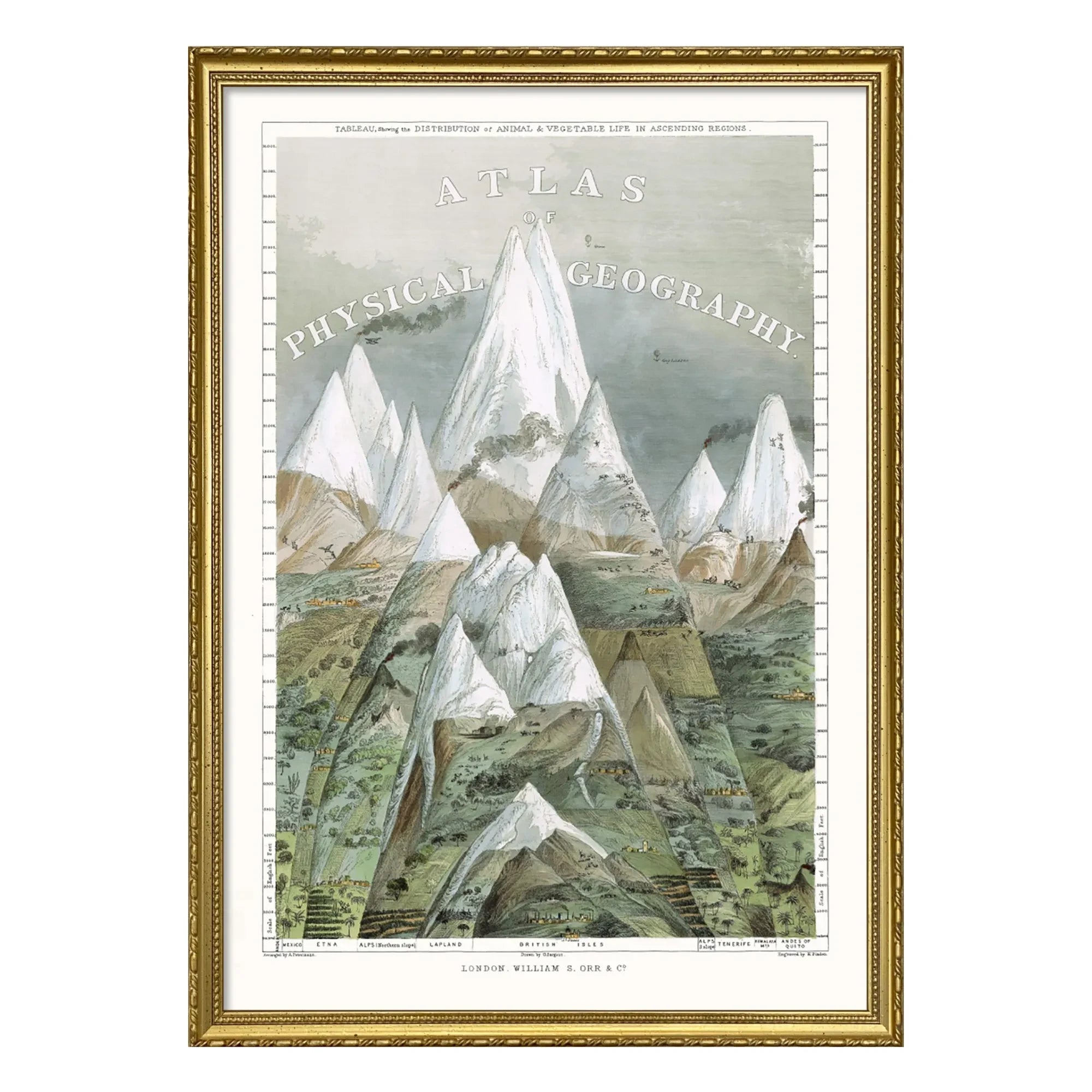 The Dybdahl Co. - Atlas Physical Geography Poster