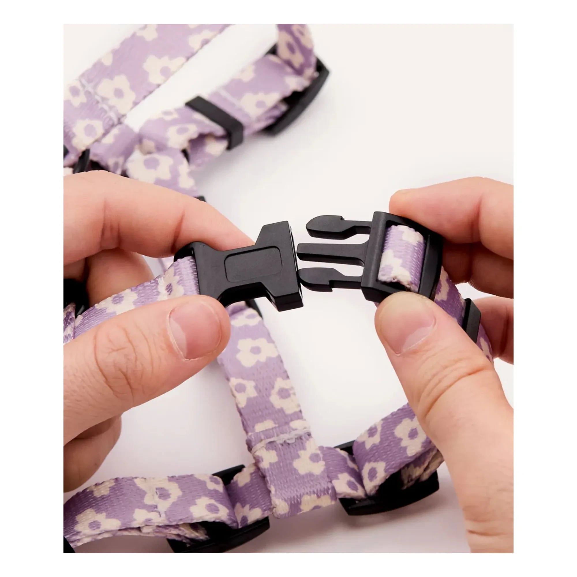 Cafide - Juno dog collar | Lilac