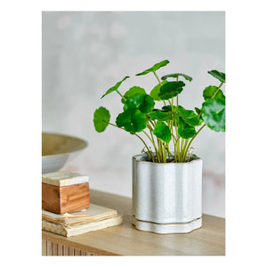 Bloomingville - Argyle Clay Pot | Gray