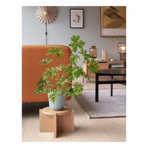 Hübsch - Plissé Wall Lamp | Sand