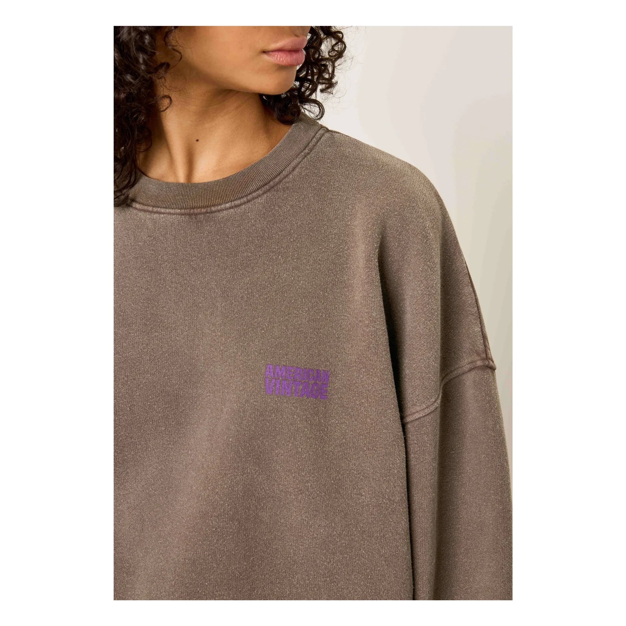 American Vintage - Plizzy Cotton Sweatshirt | Brown