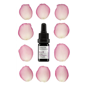 Odacité - Ac+R Acai + Rose Youth Glow Serum Concentrate