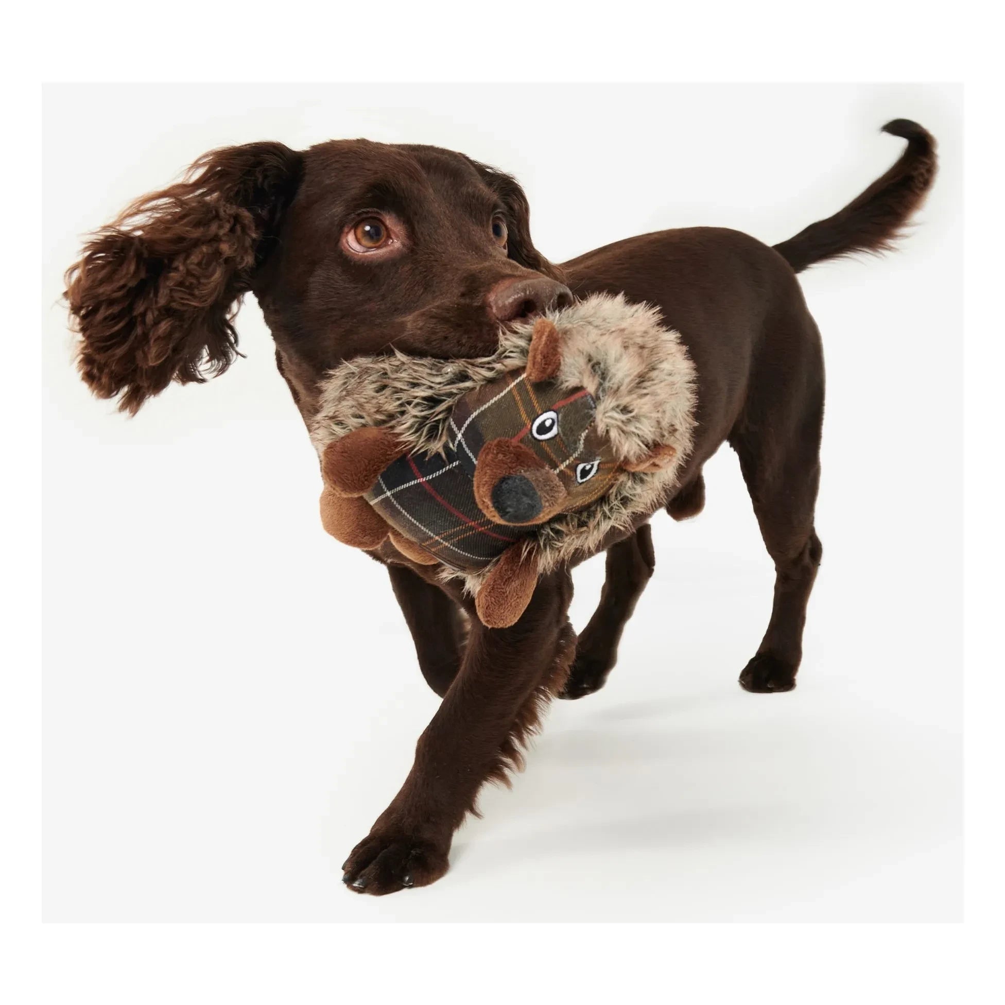 Barbour - Hedgehog Dog Toy | Brown