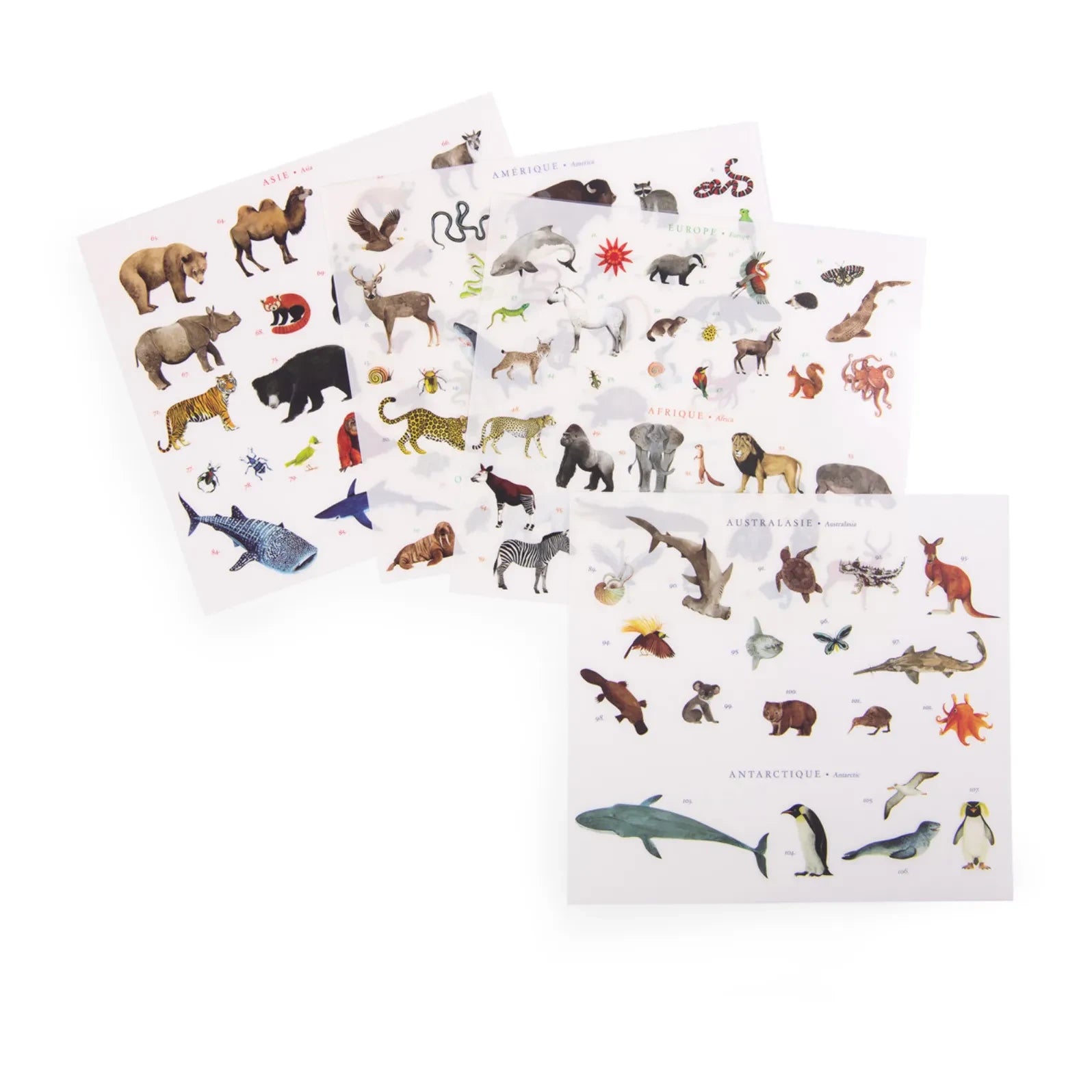 Moulin Roty - Sticker World Map