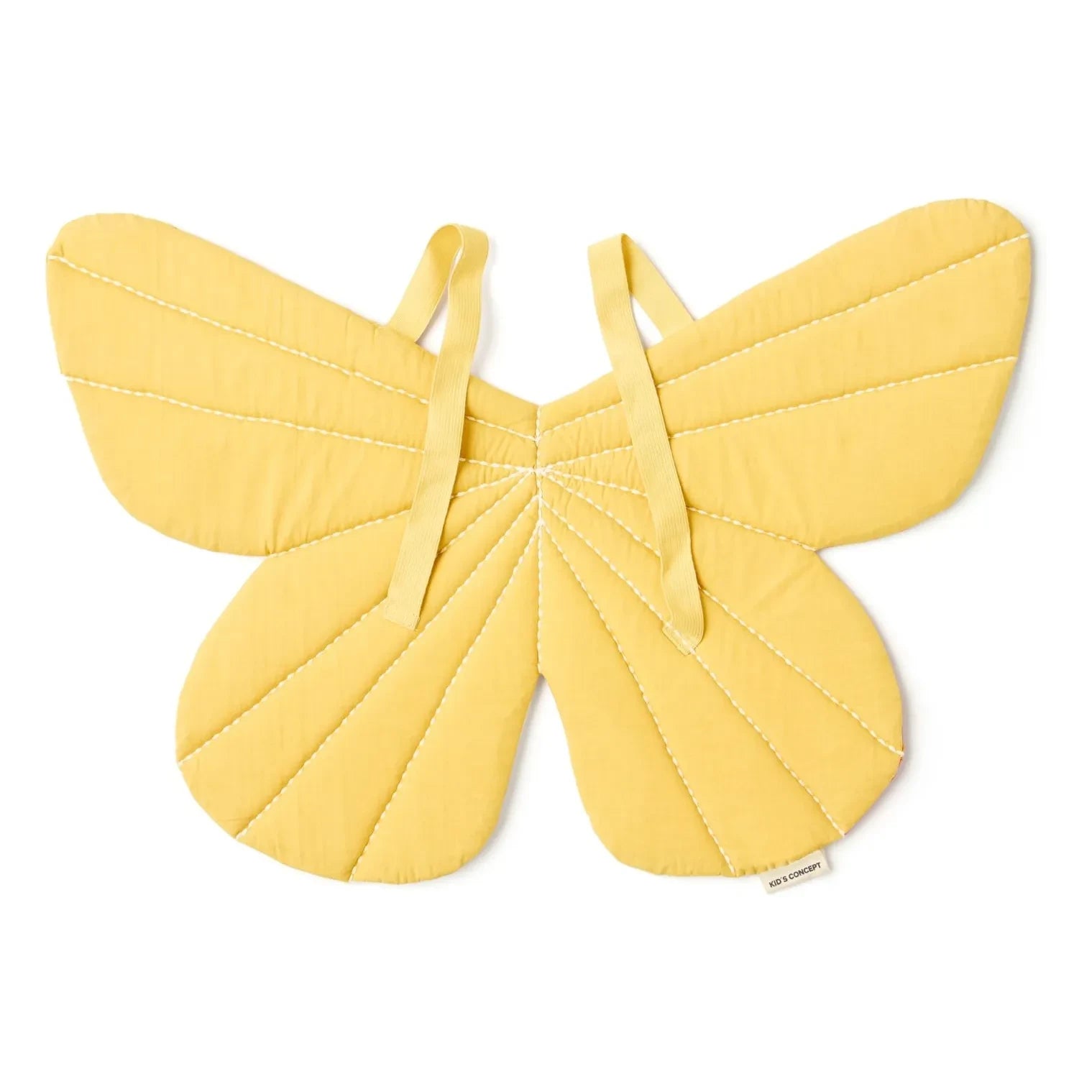 Kid's Concept - Butterfly disguise