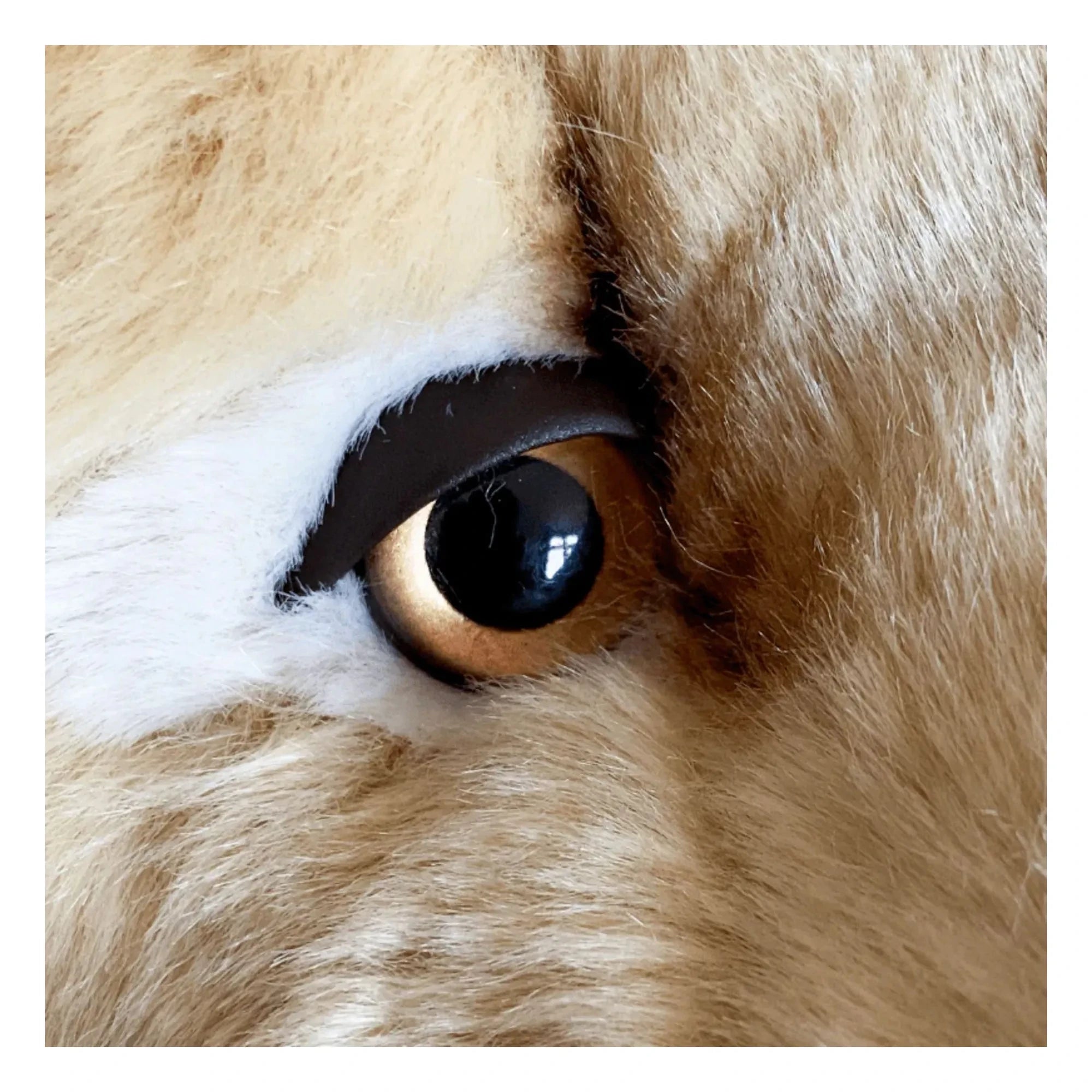 La Pelucherie - Melchior Lion Plush 40 cm | Beige