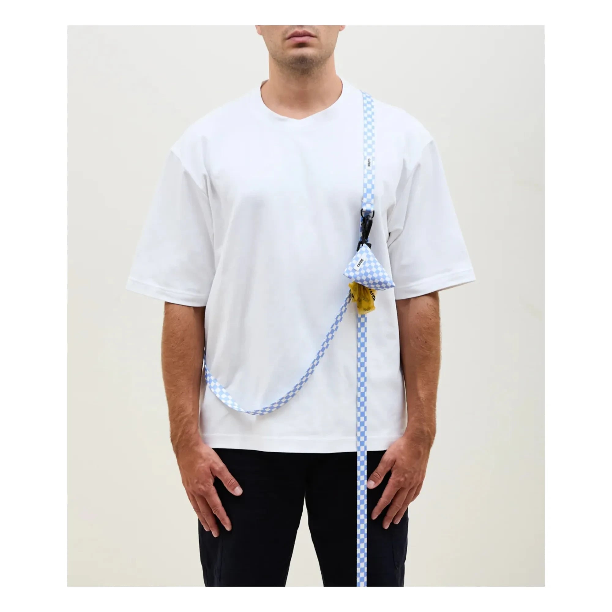 Cafide - Juno 3 konumlu köpek tasması | Açık mavi