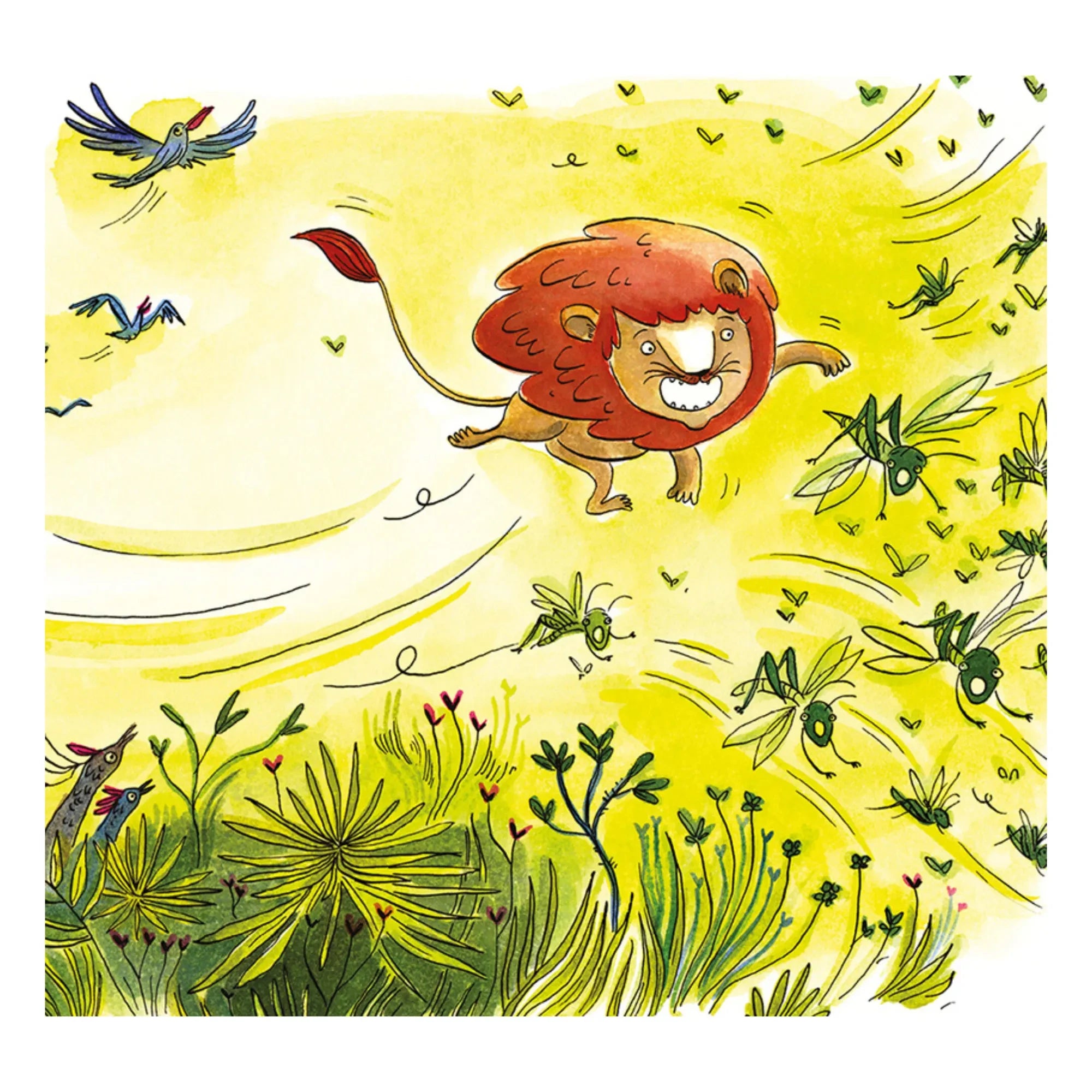 Maison Eliza - Book - Chichi Poilu - L. Major & C. Ayrault