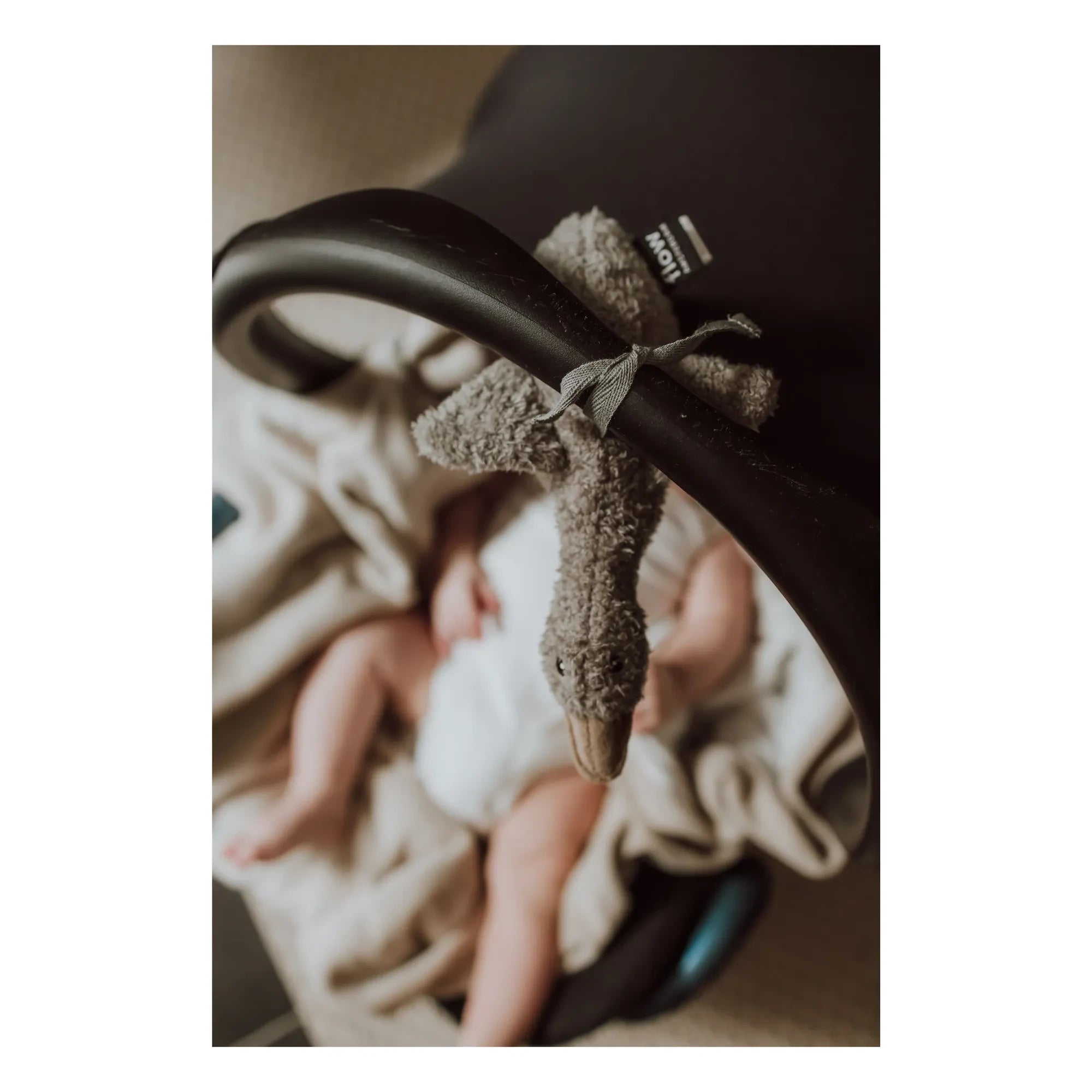 Flow - Liva White Noise Nomad Plush | Gray