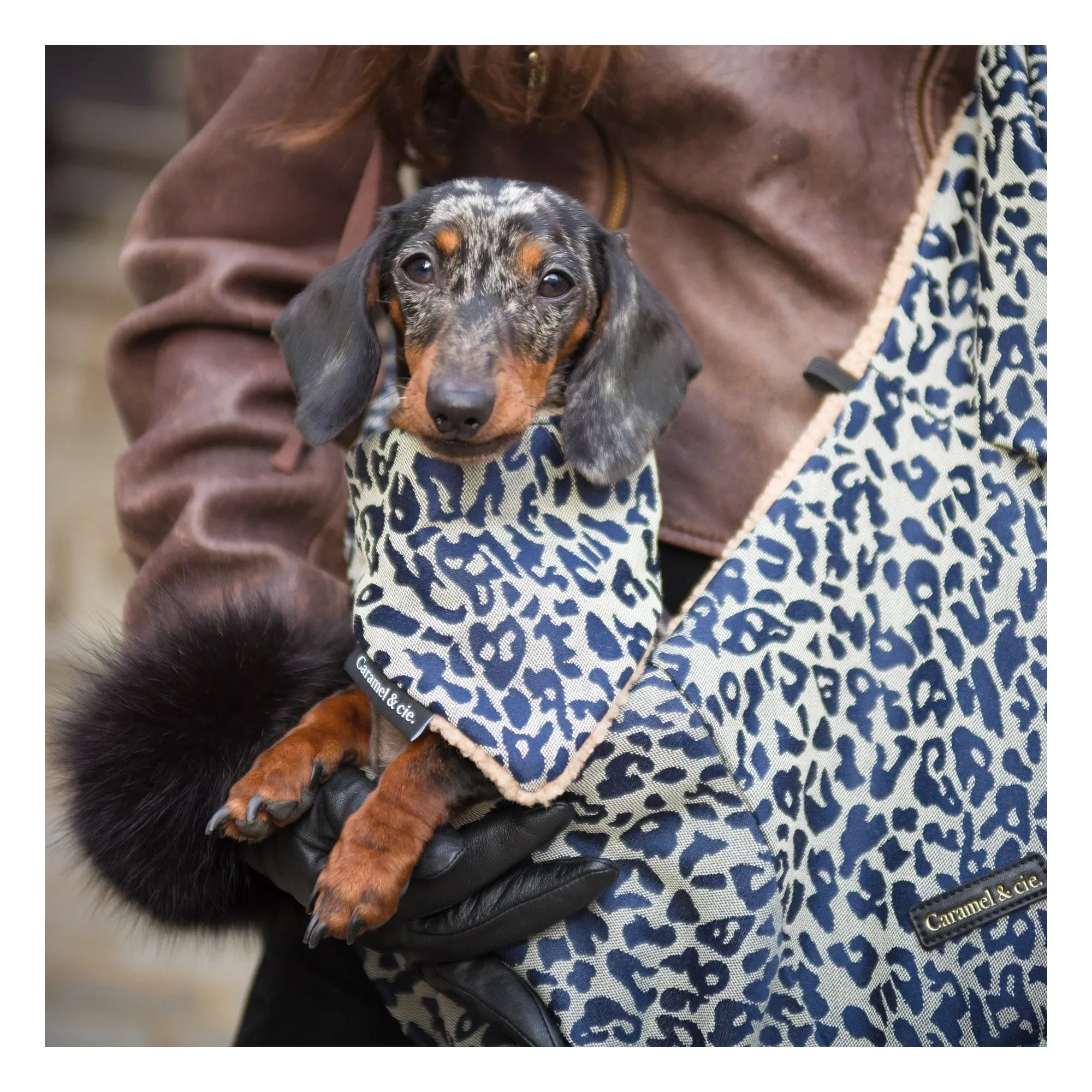 Caramel & Cie - Leopard Dog Crossbody Bag Promenade | Gray