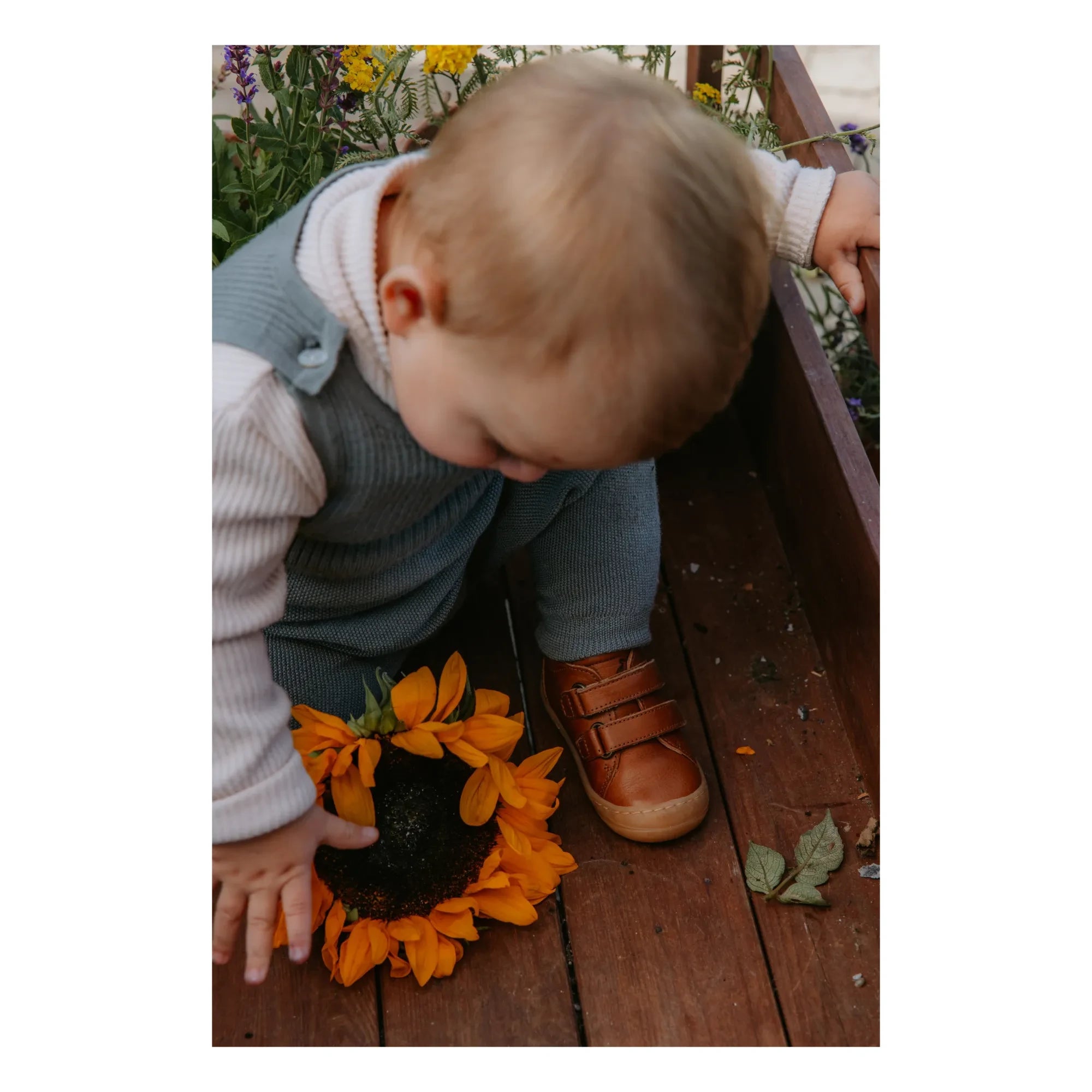 Petit Nord - Casual Velcro Sneakers | Cognac