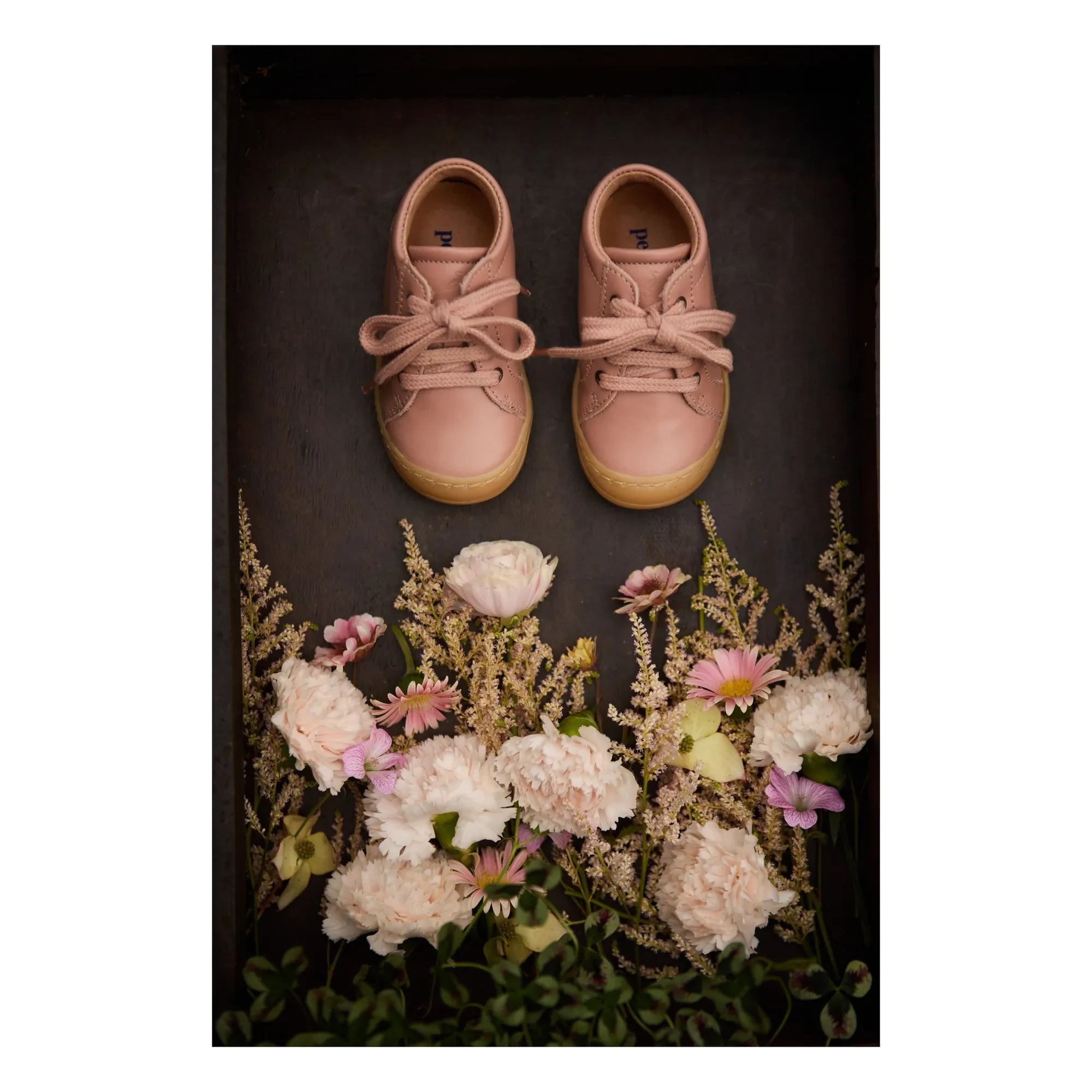 Petit Nord - Everyday Lace-Up Sneakers | Pink