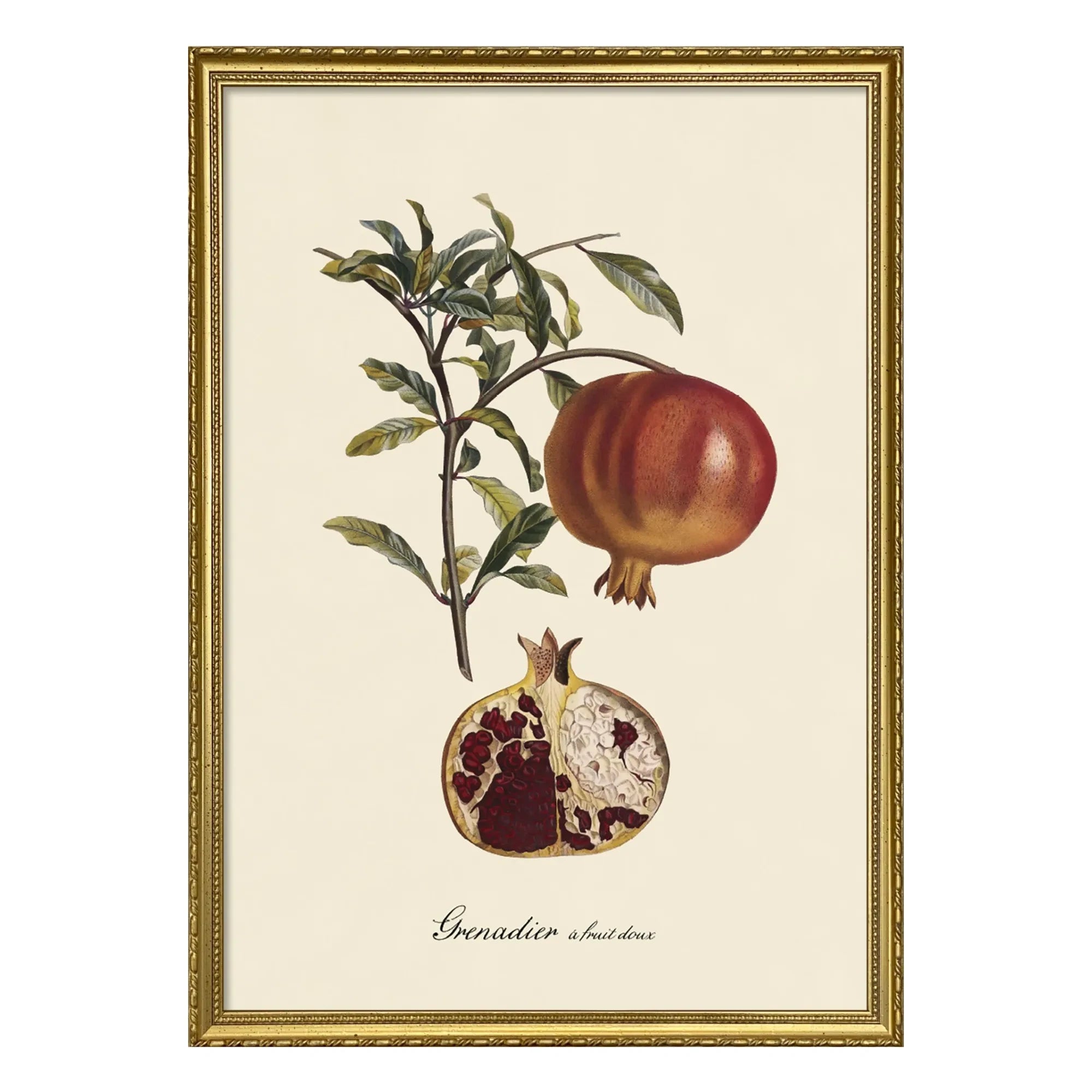 The Dybdahl Co. - Tatlı Meyveli Grenadier poster