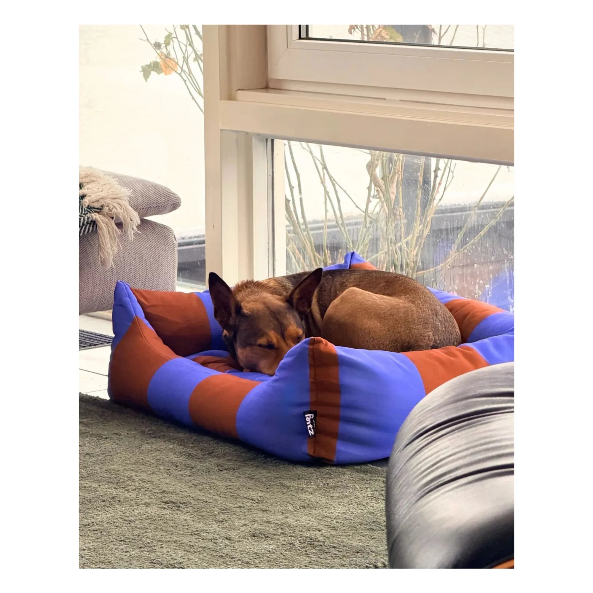 Approved by Fritz - Çizgili köpek yatağı | Mor