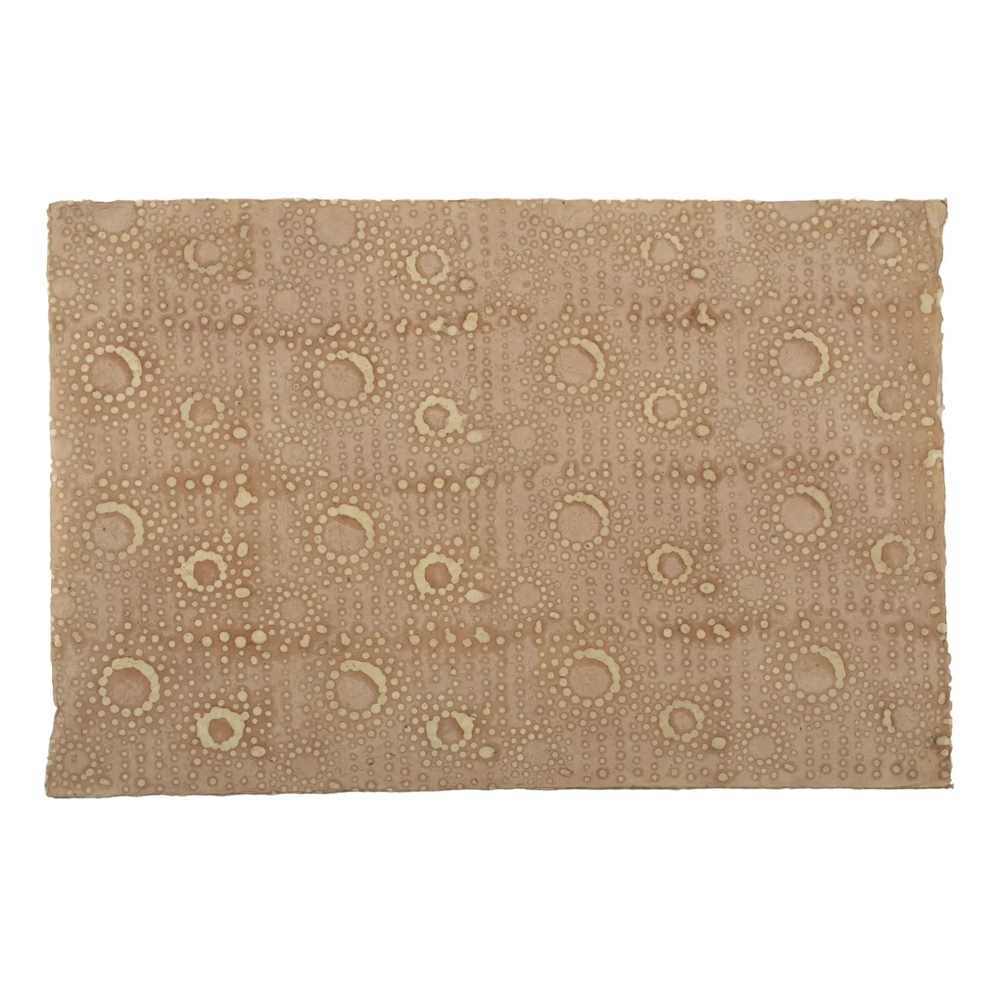 Le Monde Sauvage - Makeup Wallpaper - 12-Piece Set | Brown