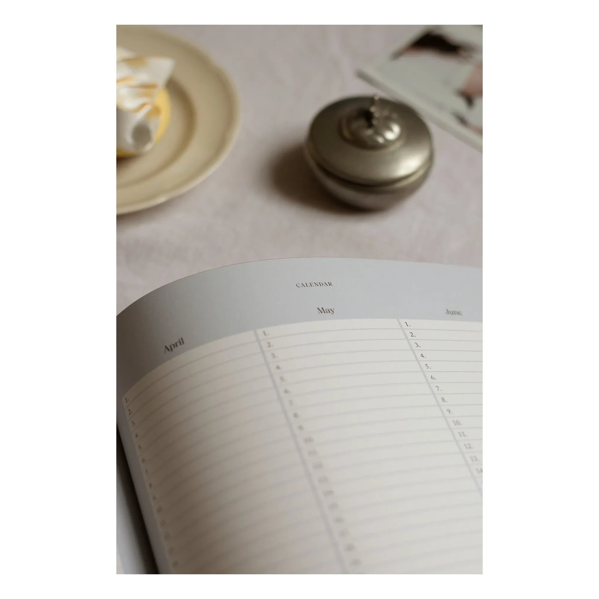 Specialday - My Pregnancy Diary - EN | Blue Gray