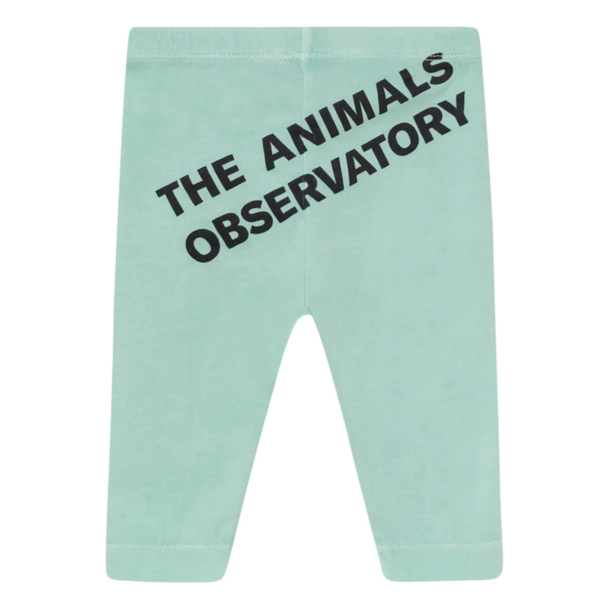 The Animals Observatory - Penguen Tayt | Açık Mavi