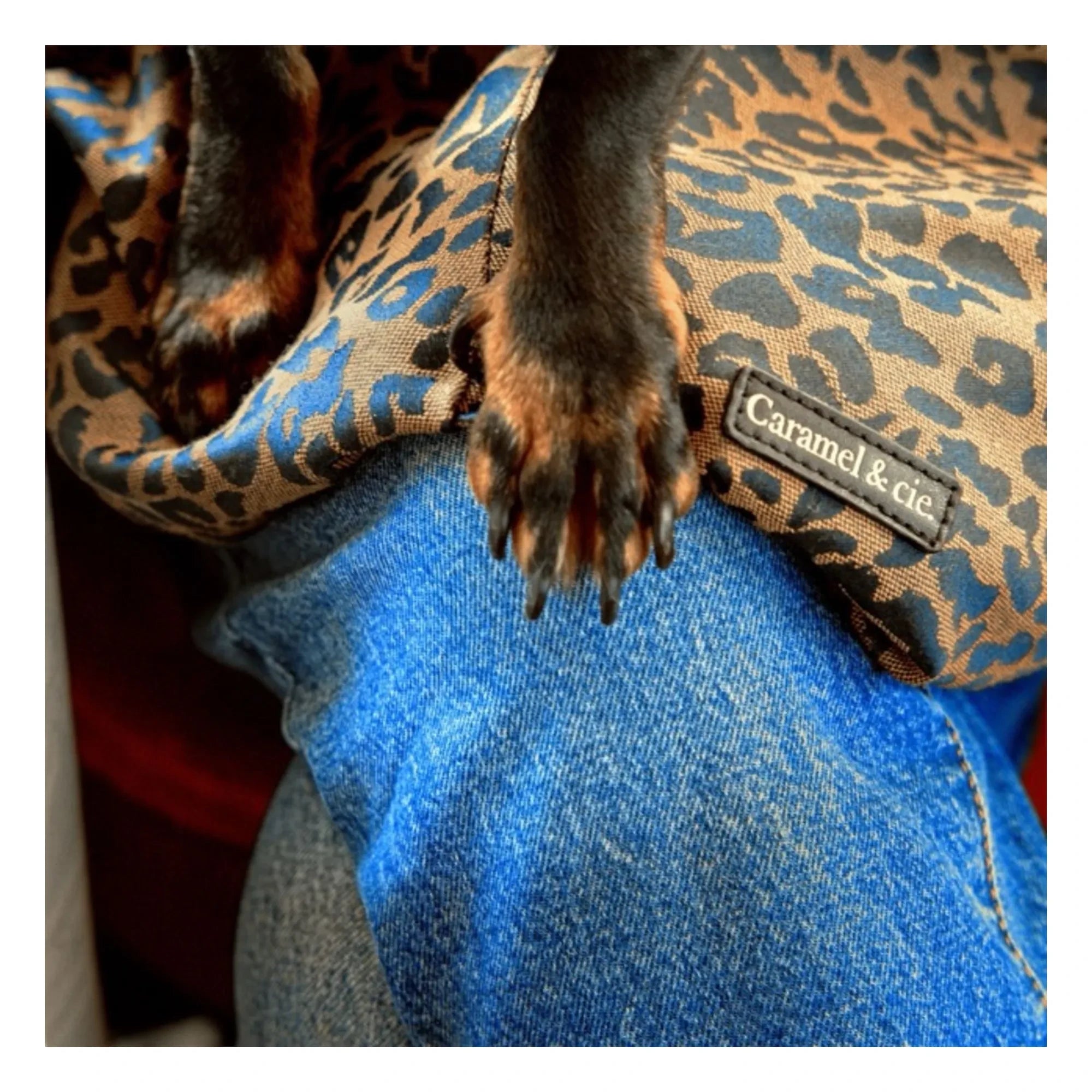Caramel & Cie - Leopard Dog Patterned Crossbody Bag | Brown