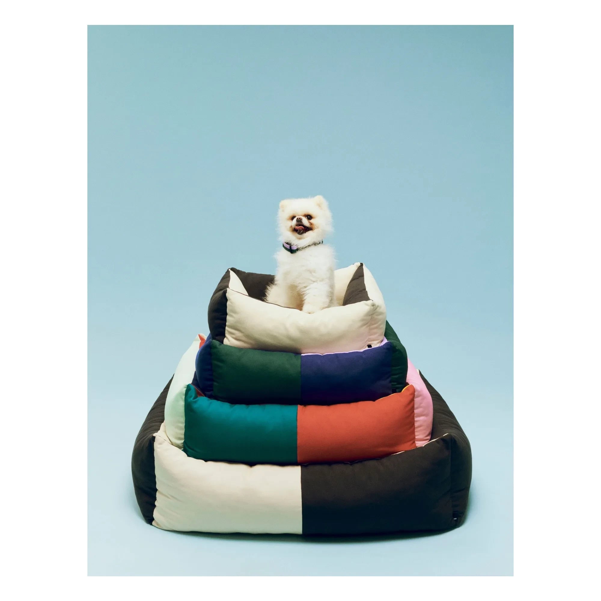 Hay - Köpek yatağı | Siyah