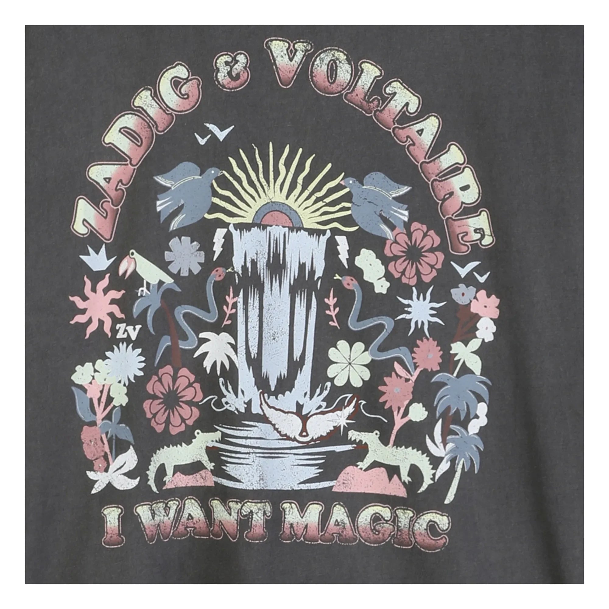 Zadig & Voltaire - I Want Magic Oversized T-Shirt | Dark Gray