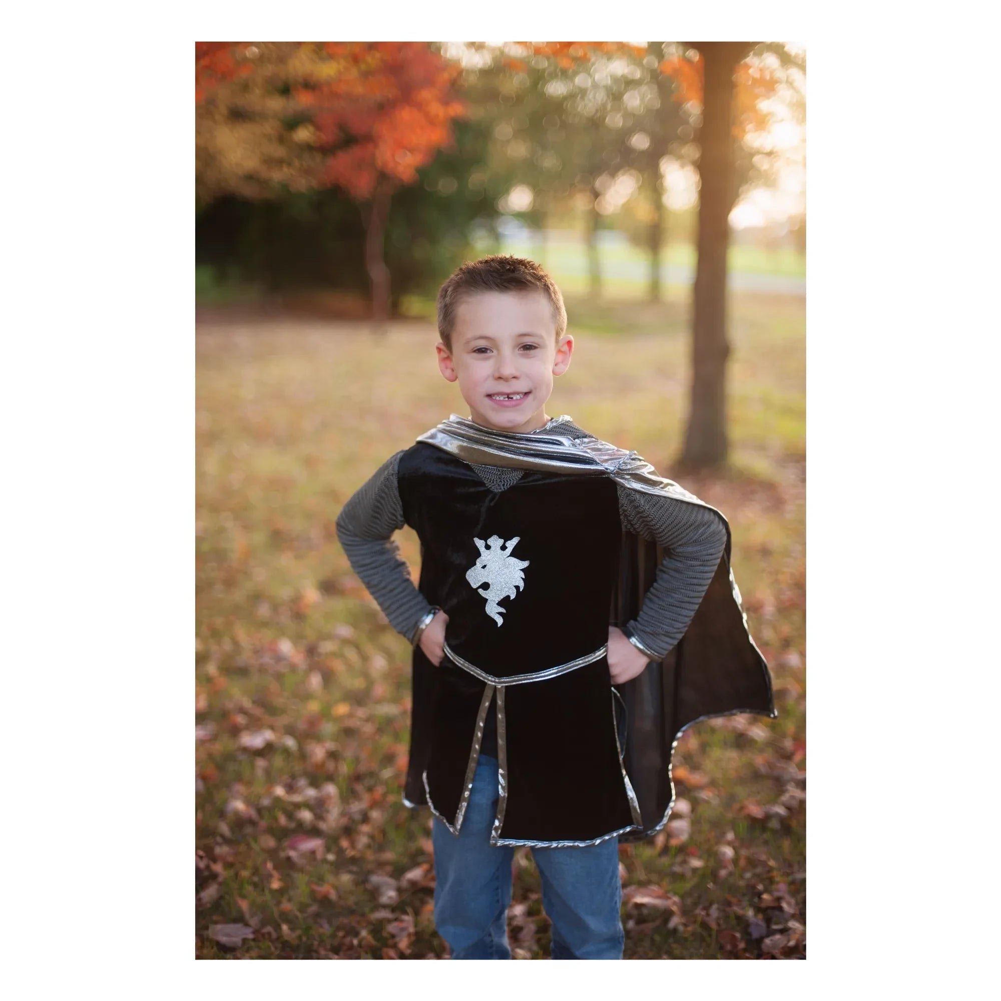 Great Pretenders - Cloak and Crowned Knight Costume