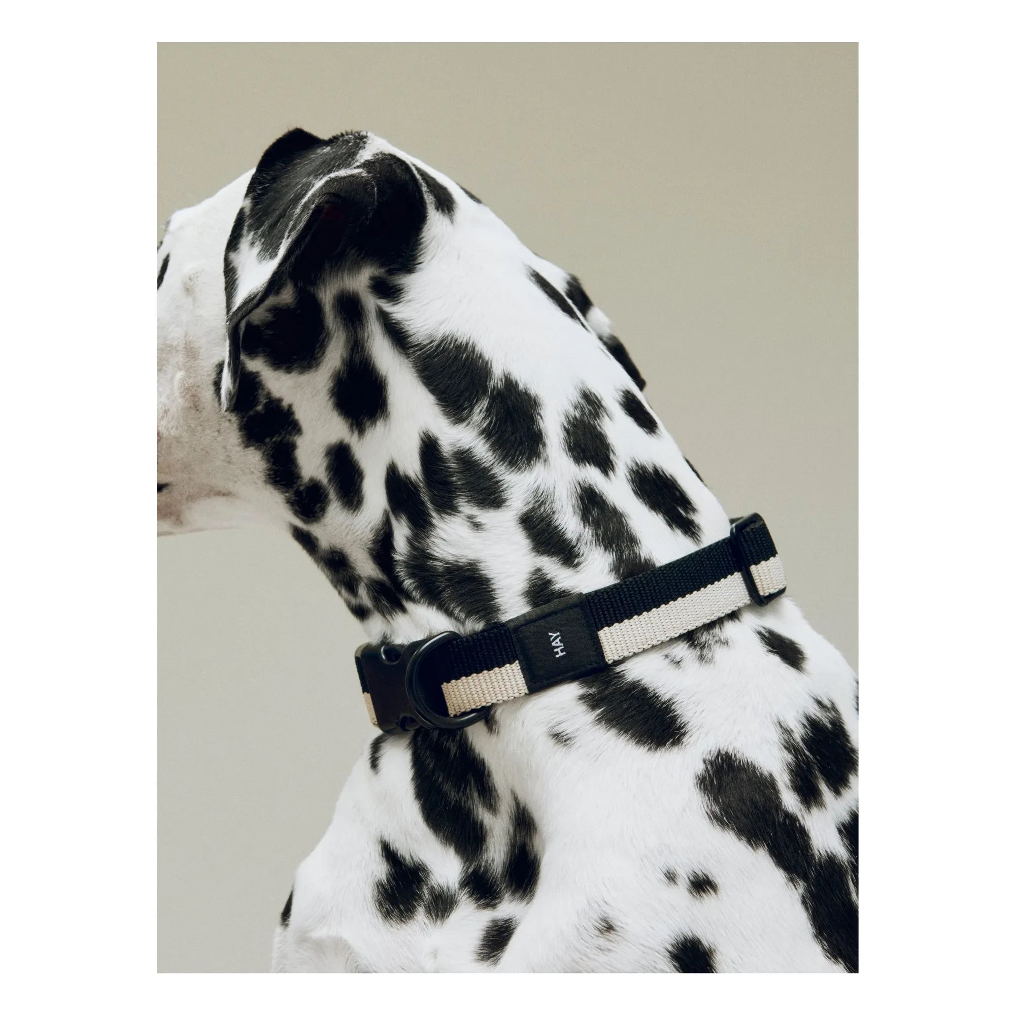 Hay - Black Necklace