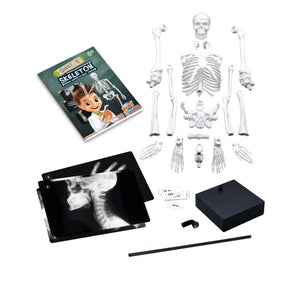 Buki - Skeleton 45 cm