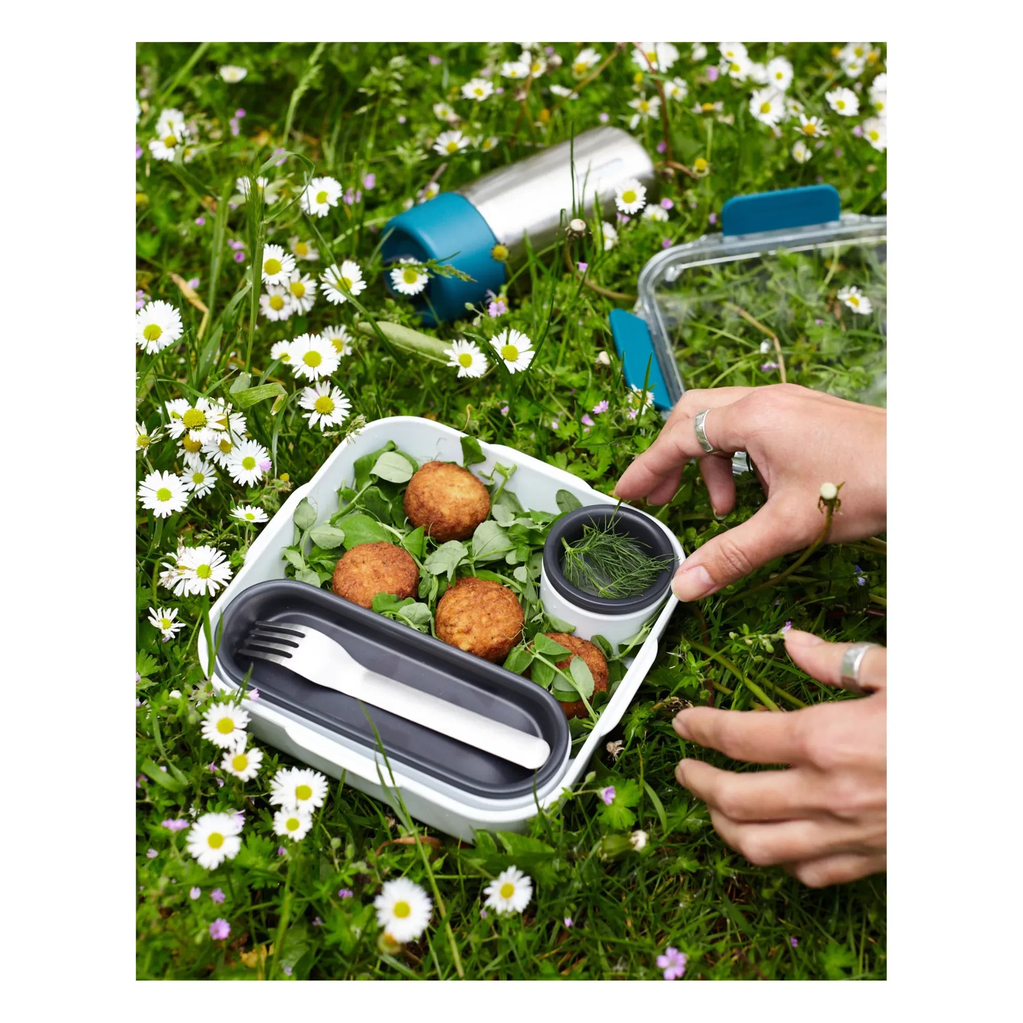 Black + Blum - Food Container - 1000 ml | Blue