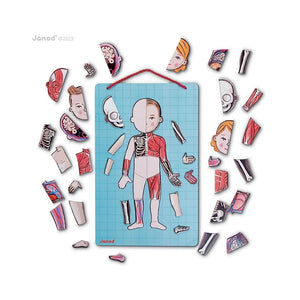 Janod - Magnetic Anatomy Puzzle