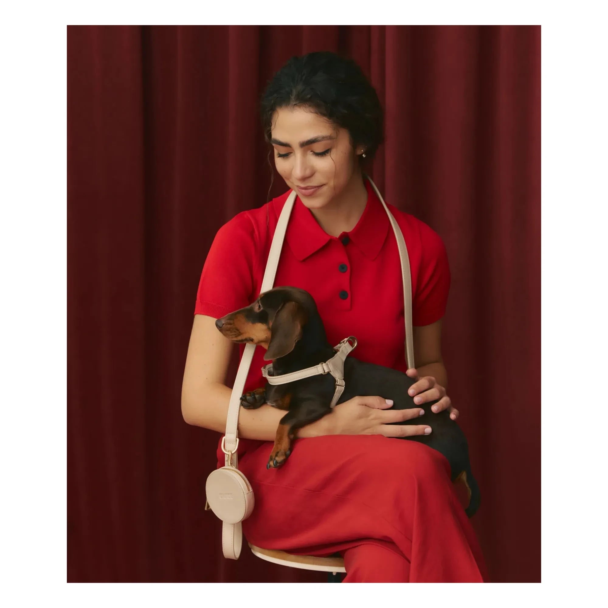 Cafide - Vegan deri köpek göğüs tasması | Bej