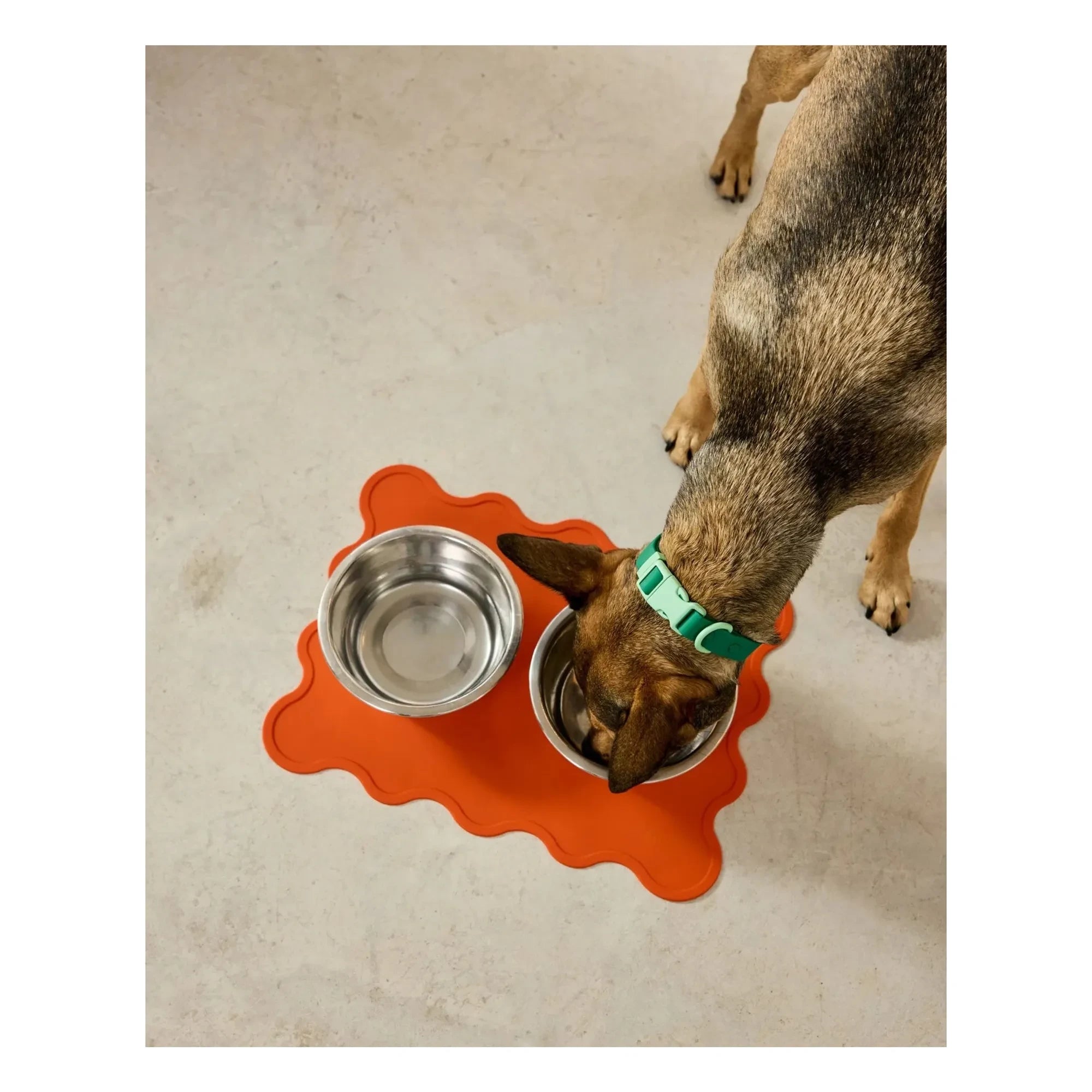 Approved by Fritz - Baby Bowl Placemat | Orange