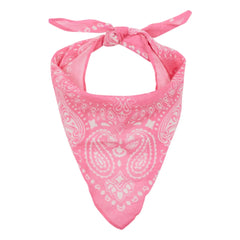 Arsène and Les Pipelettes - Pembe Veil Bandana