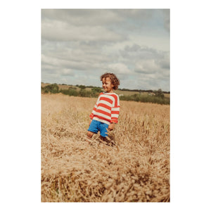 THE LiTTLE POETS - Jobim Organic Cotton Knit Shorts | Royal Blue