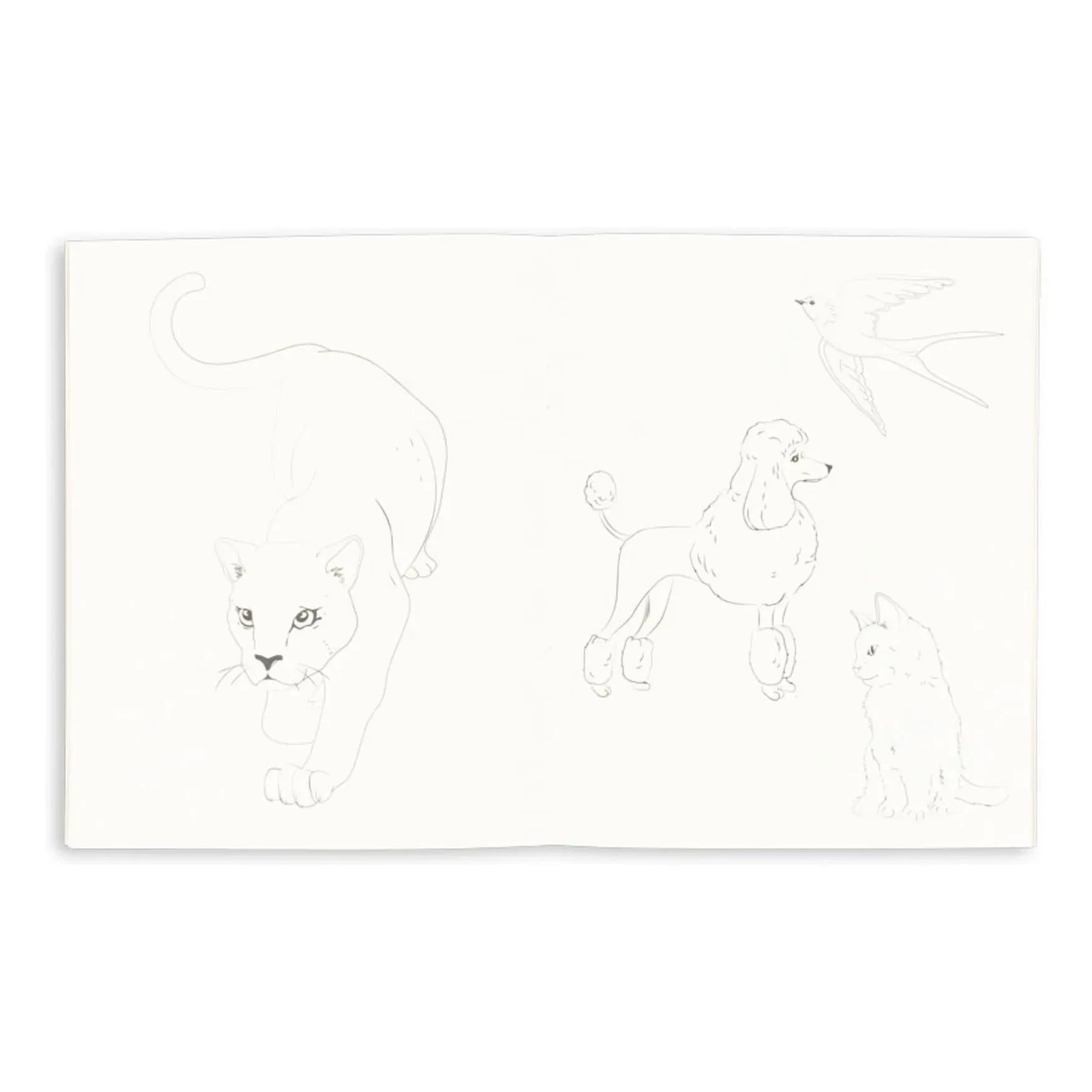 Konges Sløjd - 6-Color Crayon Coloring Book | Sage