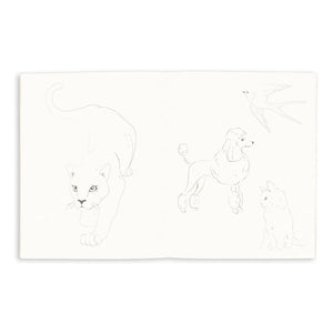 Konges Sløjd - 6-Color Crayon Coloring Book | Sage