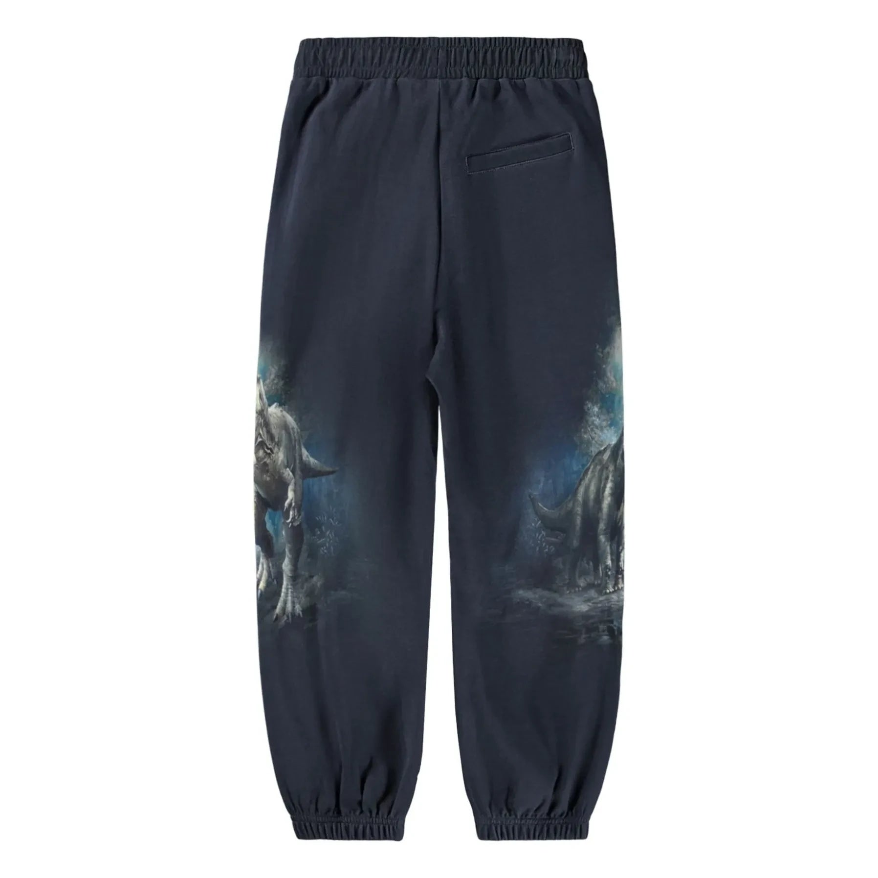 Molo - Jogger Aimon Dinosaurs Organik Pamuk | Siyah