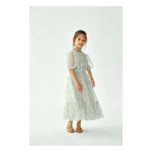 C'era Una Volta - Donna Fleurie Dress | Gray Blue