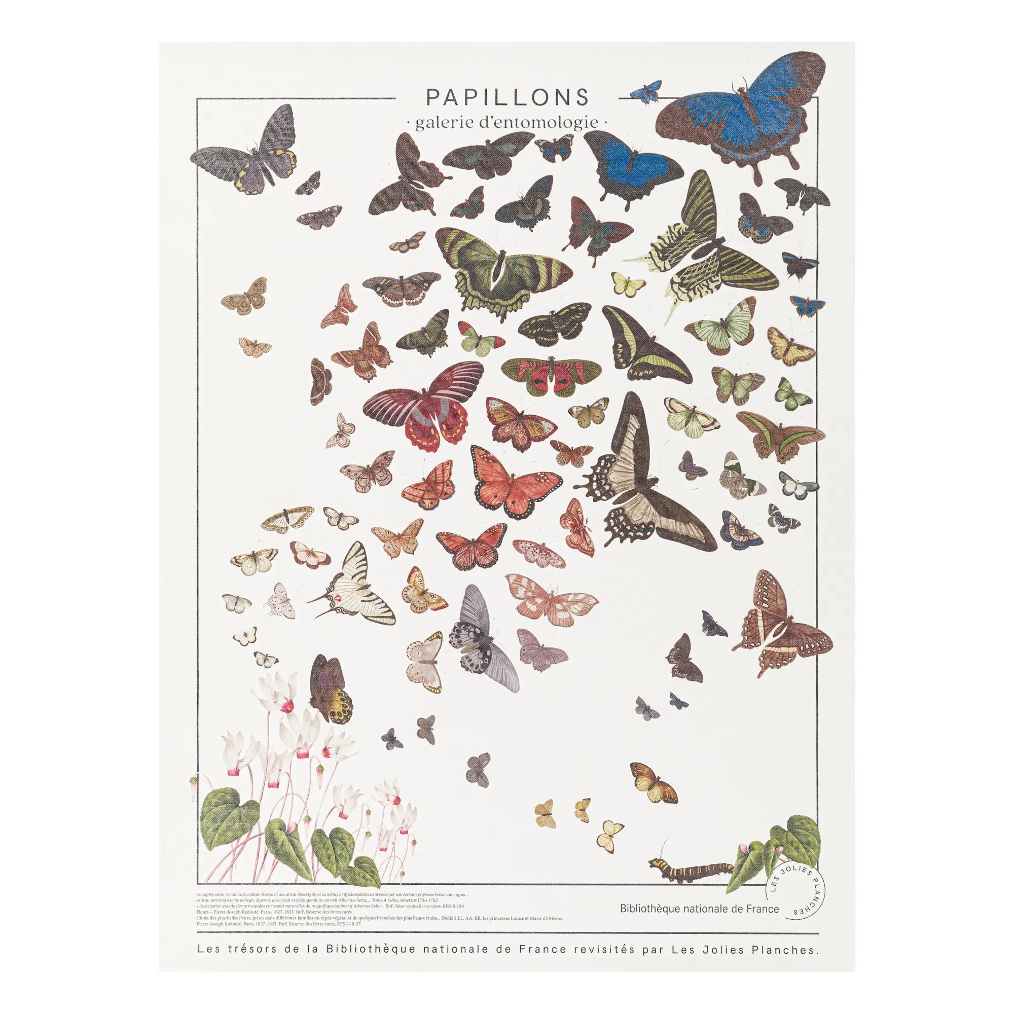Les Jolies Planches - Butterfly Cutting Board